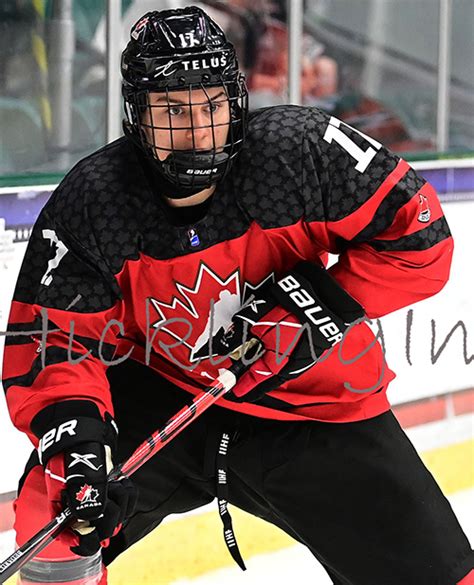 nswhl|Elite Prospects .
